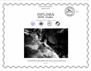 Diploma Salon 1st Place 2025