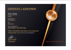 Bronze winner