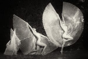 Emergence of a butterfly