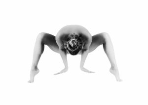 Katy_Acrobatics_2
